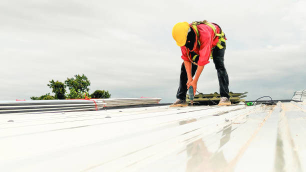 Best Cold Roofs  in Wendell, NC